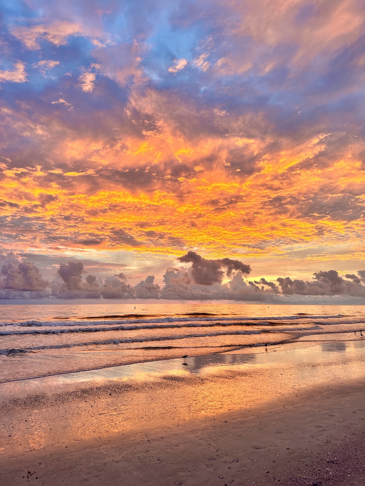 Pink sunset over the Gulf